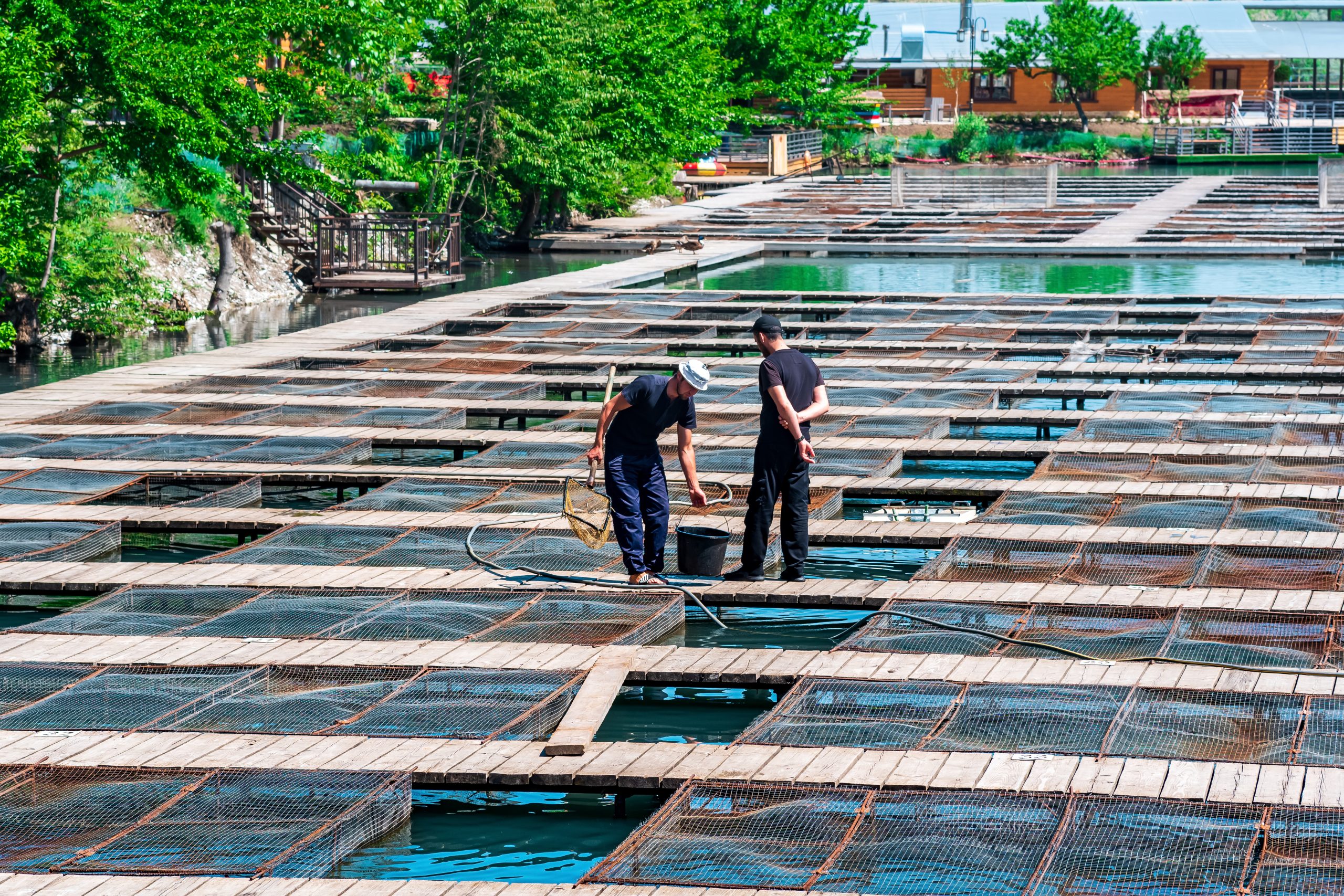 Why Homeowners in Falling Waters Choose Metal Roofing